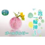 陶磁器 漆器 ガラス No.443 富士山麓で硝子職人が1点ずつ仕…