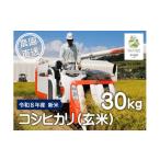 玄米 信州産コシヒカリ 富永農園の玄米 30kg