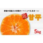 ショッピング甘平 ふるさと納税 果物類 みかん 愛媛県 愛南町 先行予約 訳あり 甘平5kg みかん 蜜柑 mikan 甘平 ポンカン 高級 人気 ブランド 柑橘 果物 フルーツ 甘い おいしい…