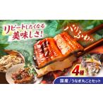 うなぎ 諫早淡水 うなぎまるごとセット ウナギ