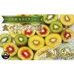 ふるさと納税 果物類 山口県 阿武町 キウイ フルーツ 食べ比べセット 約1.9kg （ 4種アソート ） 阿武町産 希少品種を厳選 旬の味 を堪能 フルーツ 果物 デザ…