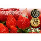 ショッピングふるさと納税 いちご ふるさと納税 いちご 群馬県 渋川市 特選大粒 ブランドいちご「やよいひめ」朝摘みでお届け 500g イチゴ 苺 果物 フルーツ くだもの デザート ケーキ作り 群馬…
