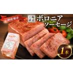 肉 ソーセージ 二の岡ハム ボロニアソーセージ 1040g×1本