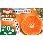 ふるさと納税 果物類 みかん 長崎県 南島原市 2025年12月〜発送 大満足 2回 定期便 温州みかん 約5kg / みかん 定期便 ミカン 蜜柑 長崎県産みかん 糖度 果…