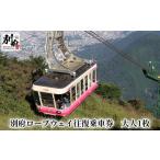 入場券 優待券 別府ロープウェイ 往復乗車券