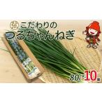fu.... налог овощи вид лук порей Ooita префектура средний Цу город струна книга@ сельское хозяйство .. предубеждение. .. Chan лук порей 80g×10 пачка |. лук порей лук-батун маленький . маленький лук порей маленький лук-батун приправа местного производства Ooita префектура средний Цу город 