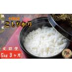 無洗米 3ヶ月定期便 令和7年産 無洗米コシヒカリ 5kg