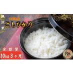 無洗米 3ヶ月定期便 無洗米コシヒカリ 10kg