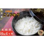 無洗米 6ヶ月定期便 無洗米コシヒカリ 10kg