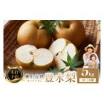 ふるさと納税 梨 京都府 京丹後市 先行予約 樹上完熟 豊水梨 5kg(10〜16個)(2025年8月下旬〜発送) 農家直送 ナシ なし ホウスイ ほうすい 人気 フルーツ …