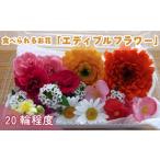 花 食べられるお花 エディブルフラワー 食べられる花
