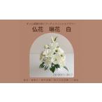 花 仏花 琳花 白 12203-0154