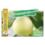 ふるさと納税 梨 京都府 京丹後市 先行予約/数量限定 京都丹後産 二十世紀梨 5kg(2025年9月上旬〜発送) AM00669