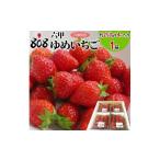 ふるさと納税 いちご 兵庫県 神戸市 六甲ゆめいちご1箱 約250g×4パック