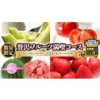 ショッピングふるさと納税 メロン ふるさと納税 メロン 茨城県 桜川市  定期便 2026年2月下旬から発送開始 全4回 数量限定 贅沢 フルーツ 満喫コース 旬の果実 旬のフルーツ くだもの 果実 トマ…
