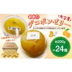 ふるさと納税 みかん・柑橘類 デコポン 熊本県 水俣市  訳あり 大容量 デコポンゼリー 24個 計4.8kg ゼリー 果物 柑橘 デコポン