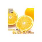 ショッピングふるさと納税 訳あり 不揃い ふるさと納税 みかん・柑橘類 和歌山県 和歌山市  訳あり はっさく 和歌山産 八朔 10kg ご自宅用・サイズ不揃い・キズ等あり