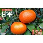 ショッピング甘平 ふるさと納税 果物類 みかん 愛媛県 西予市  甘平 約3kg 贈答用 果物 オレンジ フルーツ かんぺい カンペイ 柑橘類 みかん ミカン 蜜柑 ポンカン 西之香 ギフ…