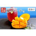 ショッピングふるさと納税 マンゴー ふるさと納税 マンゴー 沖縄県 国頭村  2026年7月から順次発送・訳あり 燦々マンゴー2.4kg(4〜6玉)_アップルマンゴー アーウィンマンゴー 沖縄 家庭用 規格外 …