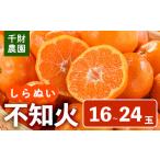 ふるさと納税 みかん・柑橘類 デコポン 大分県 宇佐市 先行予約受付中 2026年4月中旬より順次発送予定 千財農園不知火(L〜4L・16玉〜24玉)みかん ミカン 蜜柑…