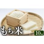 もち米 餅 10kg