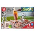 イカ 香住産 訳あり 生 ほたるいか ホタルイカ