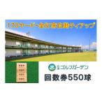 ゴルフ場利用券 53-B 会津ゴルフガーデン練習場550球回数券