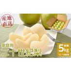 ふるさと納税 梨 鳥取県 北栄町  先行予約 家庭用 二十世紀梨 5kg前後 (10個〜16個前後) 鳥取県産 着日指定不可 2026年8月下旬〜9月中旬頃に順次発送予定 梨 …