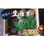 fu.... налог овощи вид .. . Ooita префектура средний Цу город утро .. сырой .. примерно 300g ( большой маленький 10 шт степень ) | сырой .... сырой шиитаке ..... дерево культивирование ... . местного производства Ooita префектура средний Цу...