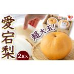 梨 佐藤ファーム 愛宕梨 超大玉 2玉入