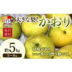 ショッピングふるさと納税 梨 ふるさと納税 梨 福島県 白河市  先行予約 大きな梨 かおり 約5kg（5〜8玉） 梨 なし ナシ 梨 デザート フルーツ 果物 くだもの 果実 食品 F23R-941