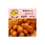 ふるさと納税 果物類 みかん 和歌山県 有田川町 12/23までにご入金確認分は年内発送確定 温州みかん 家庭用 箱込み10kg ( 3Lサイズ以上 ) 大きいミカンが好き…