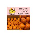 ふるさと納税 果物類 みかん 和歌山県 有田川町 12／25までにご入金確認分は年内発送確定 温州みかん 家庭用 箱込み 10kg（2Lサイズ指定） 大きいミカンが好き…