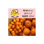 ふるさと納税 果物類 みかん 和歌山県 有田川町 12／25までにご入金確認分は年内発送確定 温州みかん 家庭用箱込み5kg ( 3Sサイズ以下指定)小さなミカンが好き…