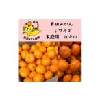 ふるさと納税 果物類 みかん 和歌山県 有田川町 訳あり温州みかん 家庭用 箱込み10kg (Sサイズ指定)