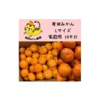 ふるさと納税 果物類 みかん 和歌山県 有田川町 12/23までにご入金確認分は年内発送確定 訳あり温州みかん 家庭用 箱込み 10kg (Lサイズ指定)