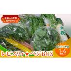 セット 詰合せ 野菜 レピスリィ ベジBOX