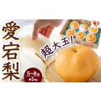 梨 佐藤ファーム 愛宕梨 5玉から8玉 約5kg