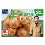 ふるさと納税 野菜類 玉ねぎ 北海道 北見市 2025年12月中お届け 北海道北見産 玉ねぎ 20kg ( 玉ねぎ 野菜 たまねぎ タマネギ 玉葱 甘い 20キロ ハンバーグ 肉…