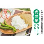 加工品等 レトルト 虎の尾グリーンカレー