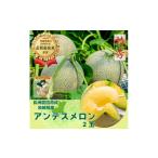 ふるさと納税 メロン メロン青肉 茨城県 鉾田市 特秀 アンデスメロン 2玉(1.2kg×2)茨城旭エメラルド
