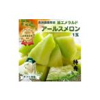 ふるさと納税 メロン メロン青肉 茨城県 鉾田市 贈答用/特秀 アールスメロン 1玉(1.5kg) アールスメロン 茨城旭エメラルド メロン めろん おすすめ 人気 …