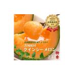 ショッピングメロン ふるさと納税 茨城県 鉾田市 【特秀】クインシーメロン 2玉（2.5kg）茨城旭エメラルド