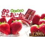 ふるさと納税 いちご 栃木県 佐野市 ルビーの輝き いちご王国栃木の新品種　大粒『とちあいか』(300g×4パック)_ いちご 苺 フルーツ 果物 くだもの とちあい…
