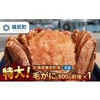 ふるさと納税 カニ 毛ガニ 北海道 雄武町 オホーツク産 特大 毛ガニ 冷凍 800g かに 蟹ミソ かにみそ 焼きがに かに鍋 北海道 ふるさと納税 雄武 雄武町 1240…