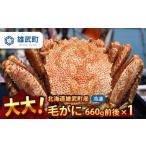 ふるさと納税 カニ 毛ガニ 北海道 雄武町 オホーツク産 大 毛ガニ 冷凍 660g かに 蟹ミソ かにみそ 焼きがに かに鍋 北海道 ふるさと納税 雄武 雄武町 124030…