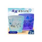 グラス 琉球ガラハイビフルデザイン2P