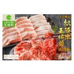 ふるさと納税 牛肉 焼肉・バーベキュー 三重県 玉城町 玉城町産 松阪牛・玉城豚 焼肉用 600g（肉 牛肉 豚 松坂牛 玉城豚 焼肉用 セット コラボ モモ バラ ロー…