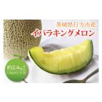 ショッピングふるさと納税 メロン ふるさと納税 メロン メロン青肉 茨城県 行方市  2026年5月より順次発送 イバラキングメロン（2玉）｜メロン イバラキングメロン フルーツ 果物 くだもの 先行…