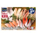ふるさと納税 干物 ホッケ 北海道 北見市 《14営業日以内に発送》船長自慢の海鮮セット ( 海鮮セット 海鮮 魚介類 ホッケ ナメタガレイ いか サーモン 鮭 時鮭…